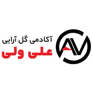 کد تخفیف علی ولی